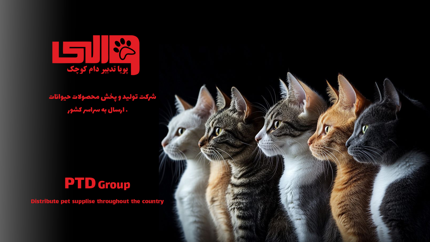 بنر صفحه اصلی گربه