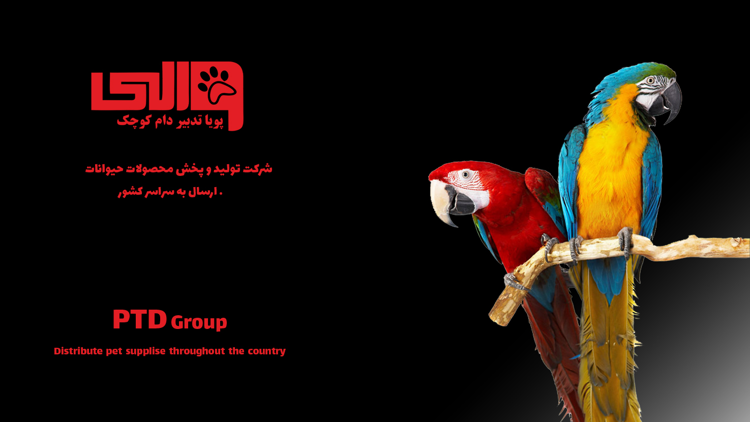 بنر پرنده